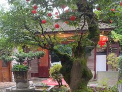 -木子山庄·安徽省老字号·中国炖锅宴