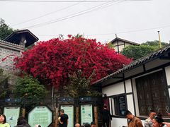 -燊海井