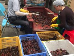 -靓靓蒸虾·头牌蒸虾(南山桂庙店)