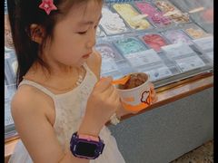 -iceason爱茜茜里·意大利健康冰淇淋(骑龙巷店)