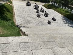 -广东惠东海龟国家级自然保护区