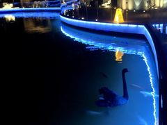 -春晖园度假酒店温泉