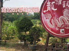 -龙门水都景区
