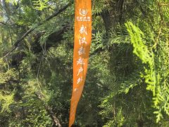 -青龙山国家森林公园
