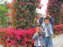 -东莞植物园