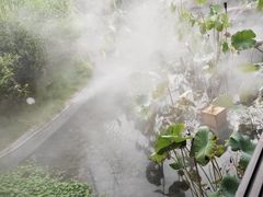 -湘力力小院·鱼汤泡饭(枫林路店)