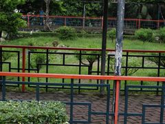 -纪念孙中山市政公园