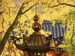 -南山风景名胜区