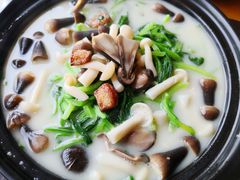 野菌煲淋春菜苗-广州富力君悦大酒店空中花园