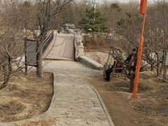 -北京凤凰岭