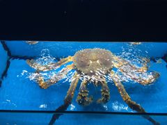 -宁波石浦豪生大酒店·自助餐厅