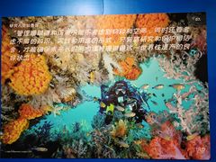 -中国地质博物馆