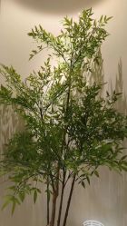 -VE专注问题肌·赛诺龙&科学美肤中心