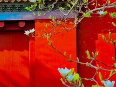-北京市劳动人民文化宫(太庙)