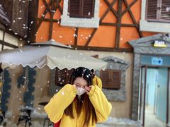 -世界之窗阿尔卑斯冰雪世界