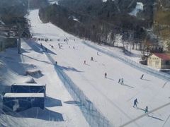 -亚布力新体委滑雪场