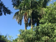 -佛山祈福仙湖酒店