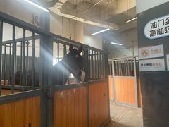 -骑乐马术(广州奥体优托邦中心)
