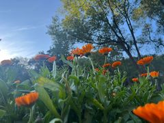 -神光山国家森林公园