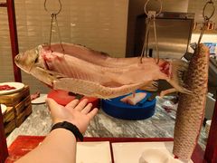 -深圳国际会展中心希尔顿酒店(前海华发冰雪世界店)