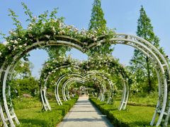 -昆山城市生态森林公园