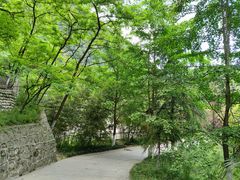 -九龙湾景区拓展会议