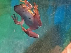 -上海大自然野生昆虫馆