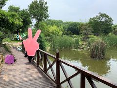 -武汉紫薇都市田园