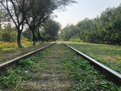 -永定河休闲森林公园