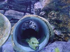 -厦门海底世界