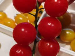 -涨巢·潮玩水疗局