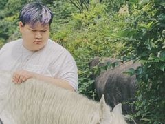 -梦娜斯庄园