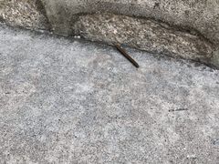 -碓臼峪自然风景区