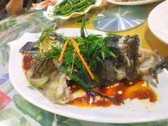 -四姑娘川味海鲜(八爪鱼店)