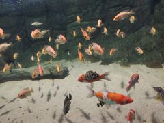 -常州海昌海洋探索馆