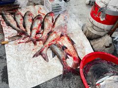 -太湖面馆十八浇(渔港路店)
