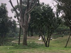 -两河城市森林公园