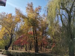 -长春市南湖公园