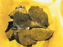 -陈李济中药博物馆