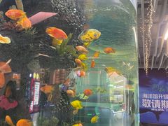 -迪卡侬(安德门店)