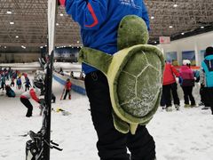 -绍兴启迪乔波冰雪世界