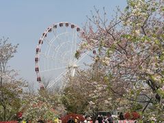 -自然谷恐龙园
