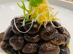 -星伦多海鲜自助餐厅(徐州铜山万达店)