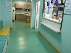 -北京观赏动物医院·24小时大型综合·猫专科·异宠专科