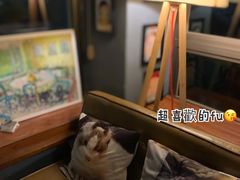 -咖法森林·咖啡  酒吧(天河店)