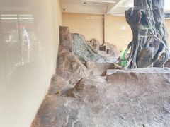 -宁波野生动物园