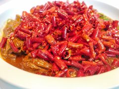 -子福慧(虹桥店)