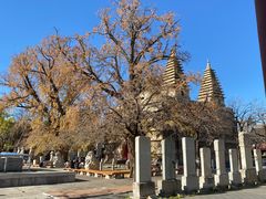 -北京石刻艺术博物馆(五塔寺)