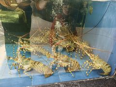 -鹏天阁酒楼·海鲜(红旗店)