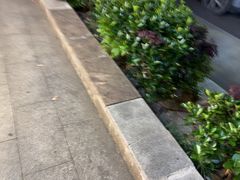 -中国湿地博物馆